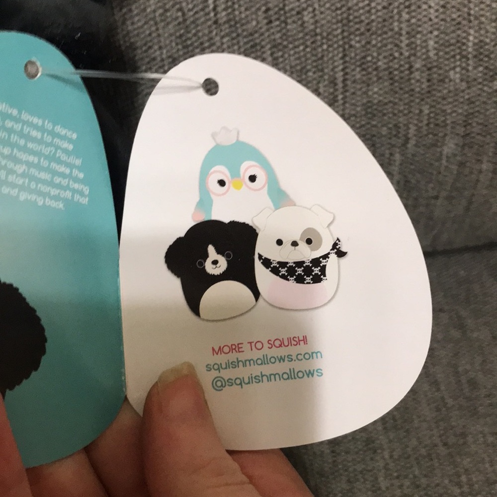 Squishmallow Paulie The Dog 8” - Picture 3 of 4
